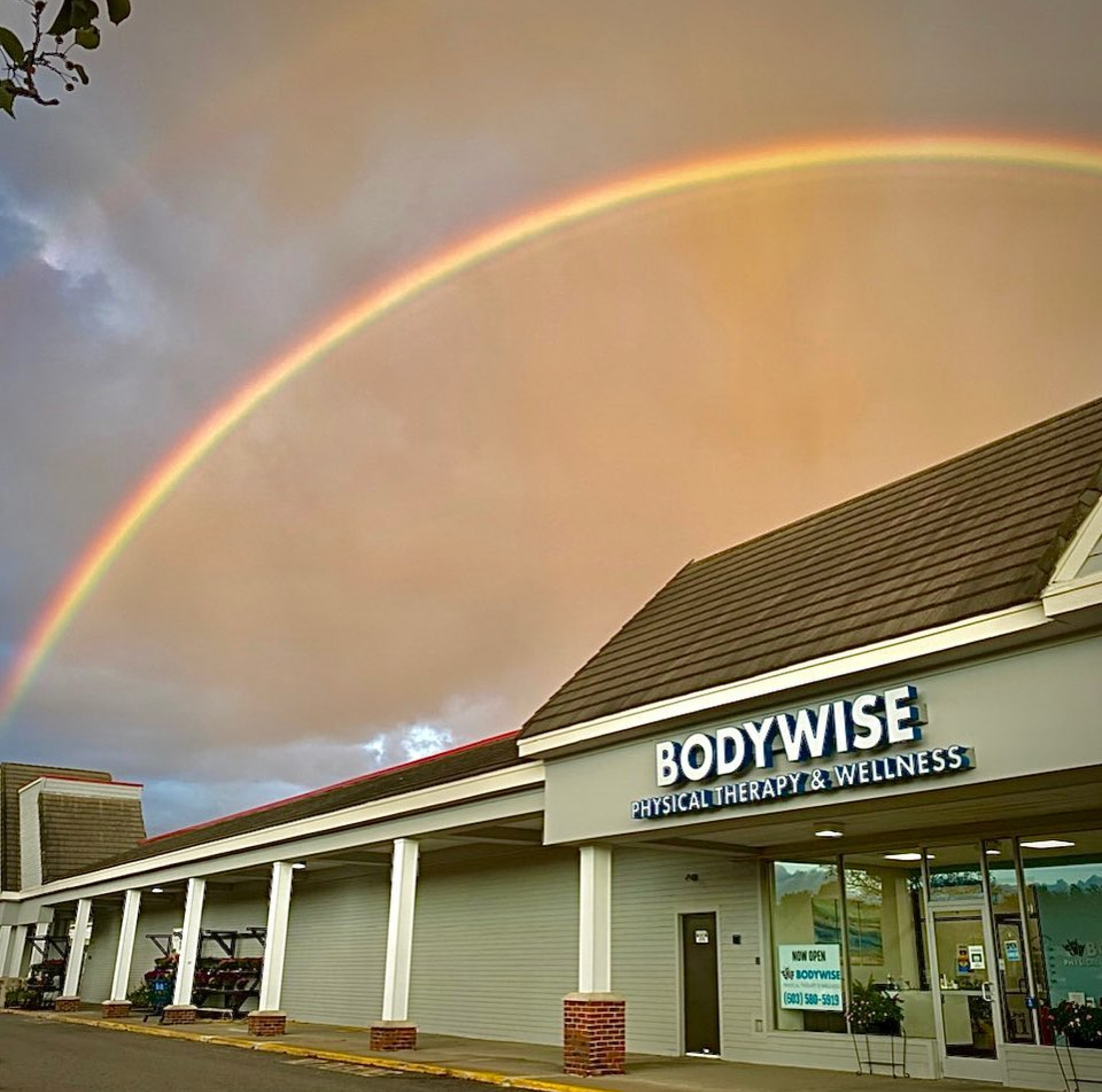 contact bodywise physical therapy